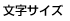 文字サイズ